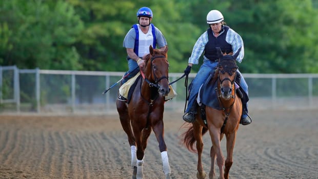 gunnevera-preakness-stakes-pimlico-odds.jpg